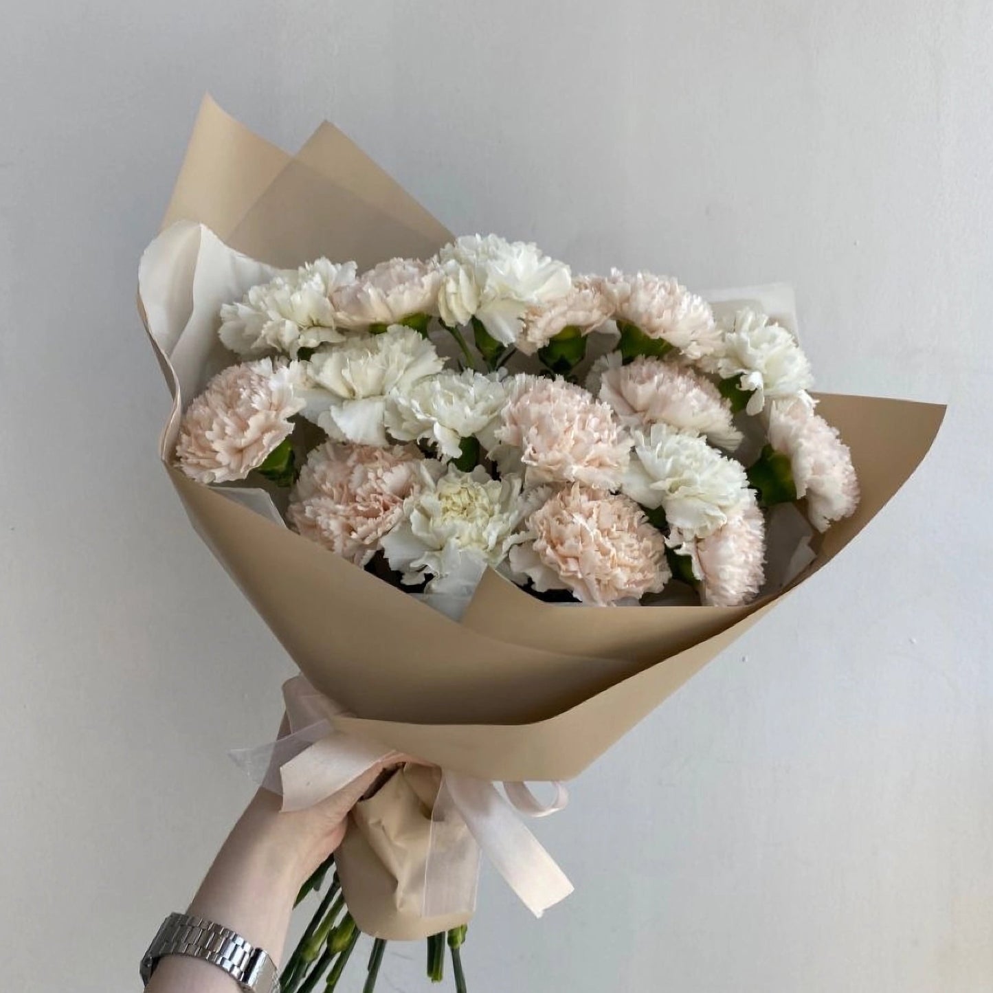 CARNATIONS