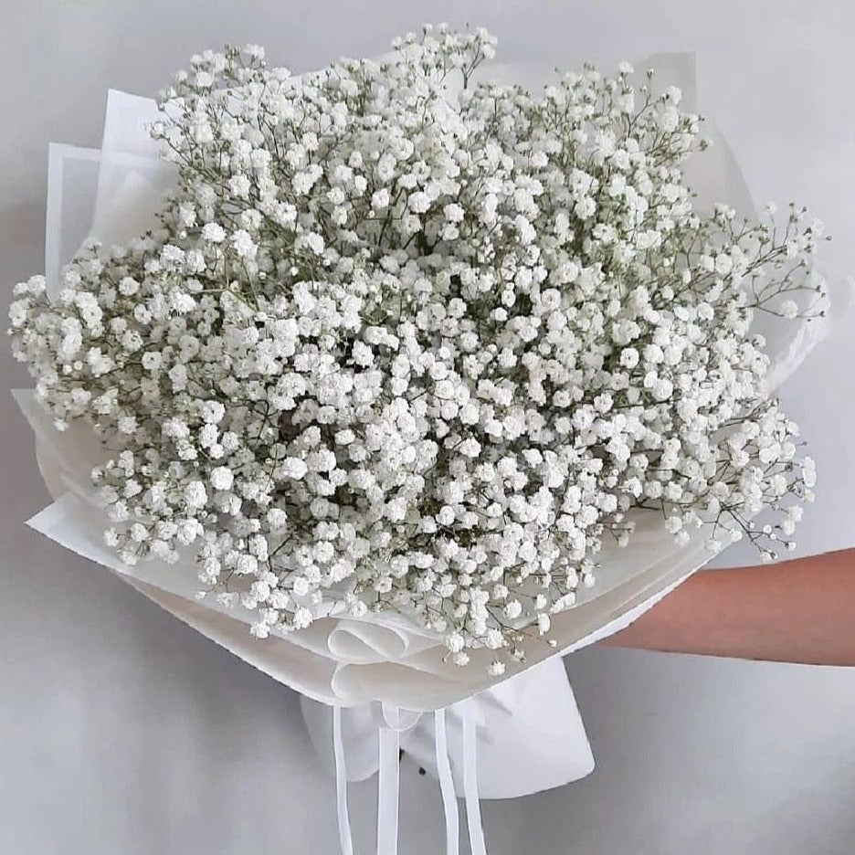 GYPSOPHILA